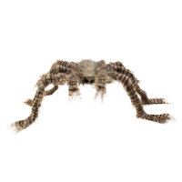 Haarige Spinne 50x70cm braun schwarz grau