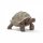 schleich Wild Life Riesenschildkröte 4,1cm