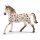 schleich Horse Club Knabstrupper Hengst 11cm