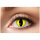 Kontaktlinsen Yellow Cat